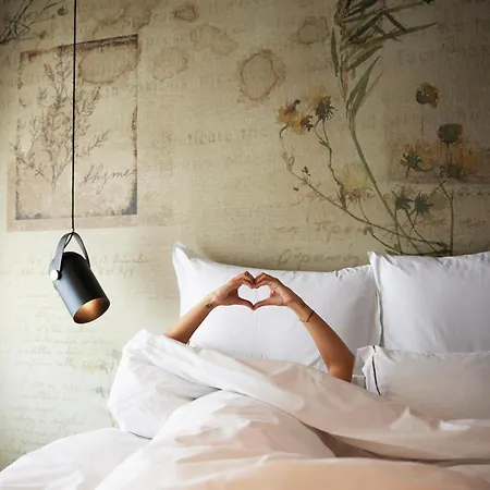 Anise, Aluma & Hotel 4*