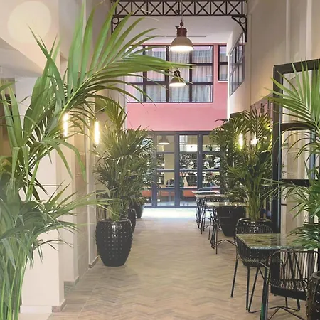 Anise, Aluma & Hotel Athens